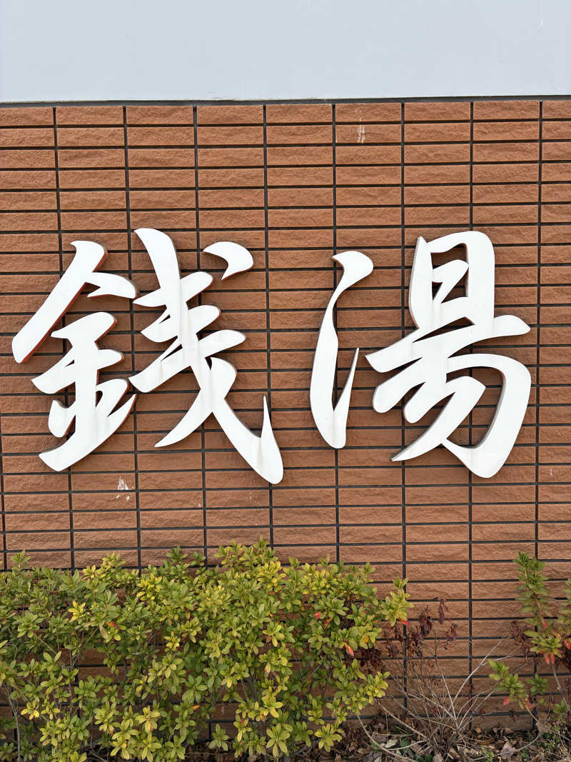 YMCAさんの湯の森 深大湯のサ活写真