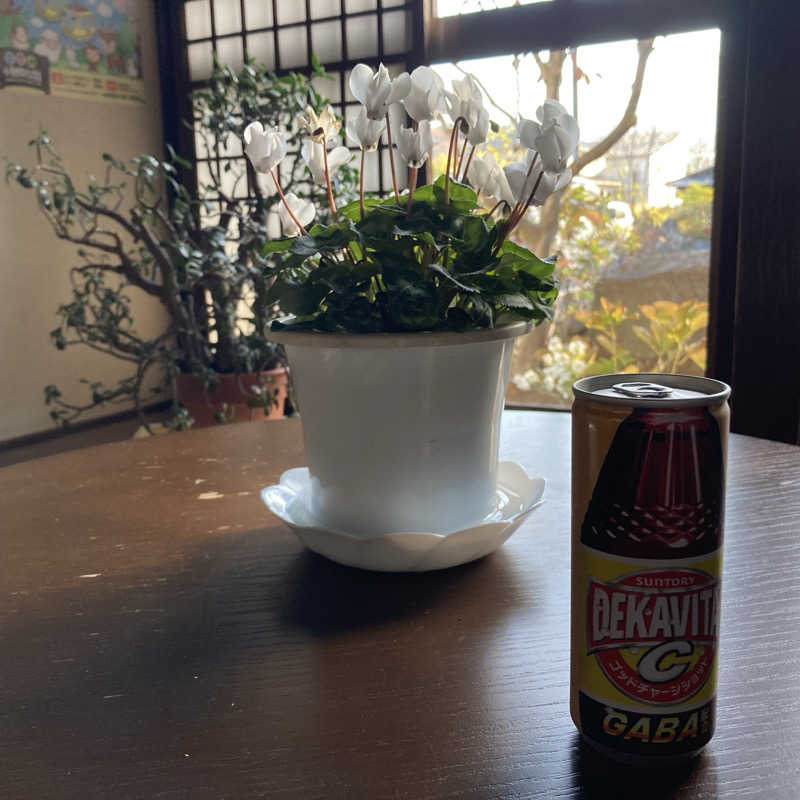 2丁目夜祭さんの秩父七湯 御代の湯 新木鉱泉旅館のサ活写真