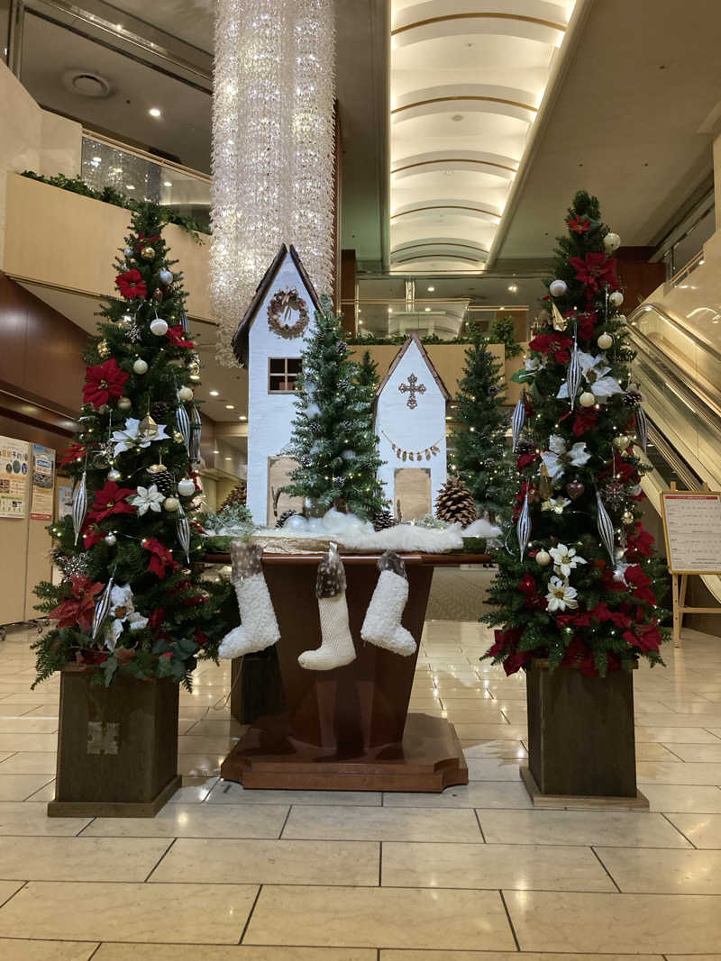 2丁目夜祭さんのザ クラウンパレス新阪急高知のサ活写真