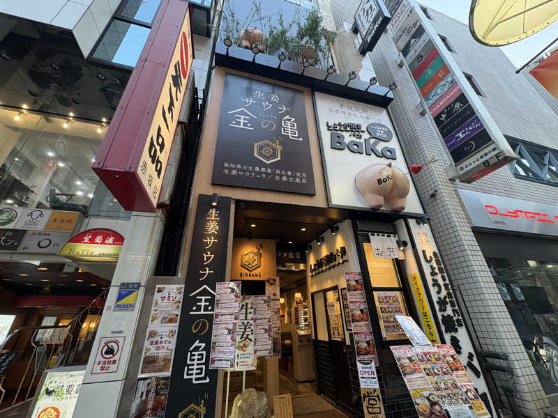 ないとろさんの生姜サウナ 金の亀のサ活写真