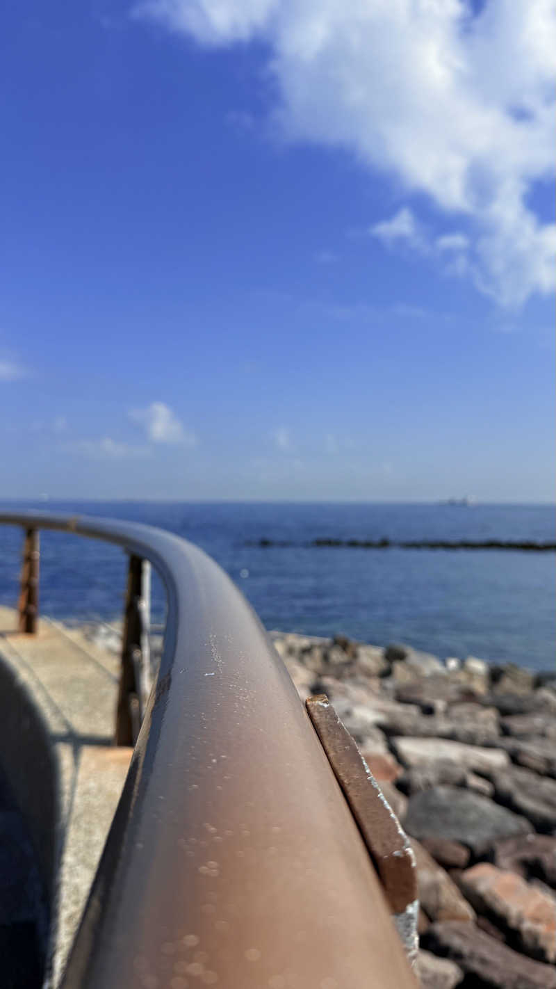 なしごれんさんの横須賀温泉 湯楽の里のサ活写真