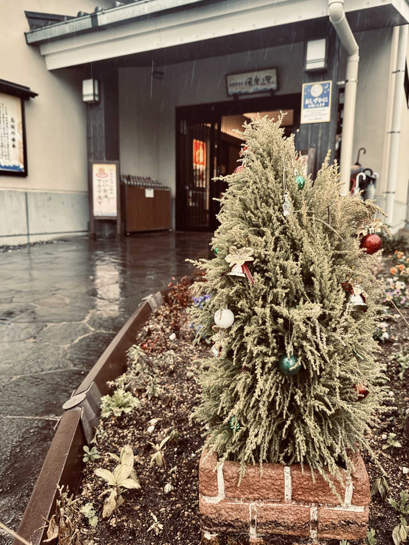 なしごれんさんの横須賀温泉 湯楽の里のサ活写真