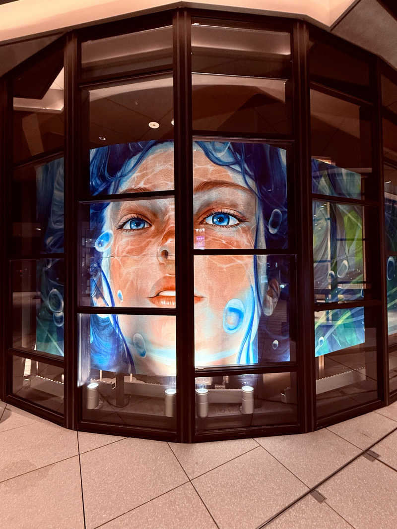 なしごれんさんのサウナメッツァ 大井町トラックスのサ活写真