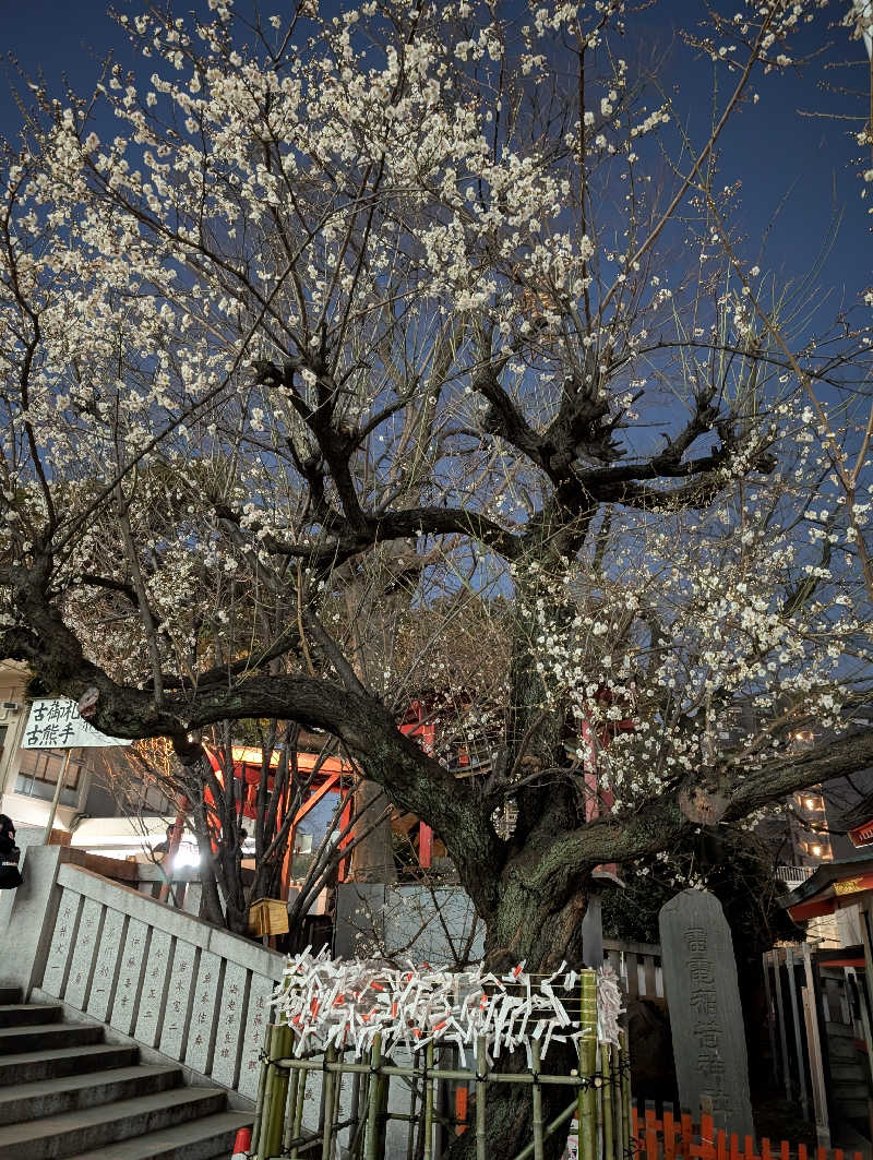 HOTさんの新宿天然温泉 テルマー湯のサ活写真