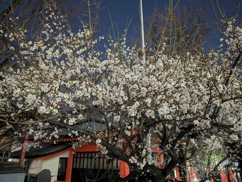 HOTさんの新宿天然温泉 テルマー湯のサ活写真