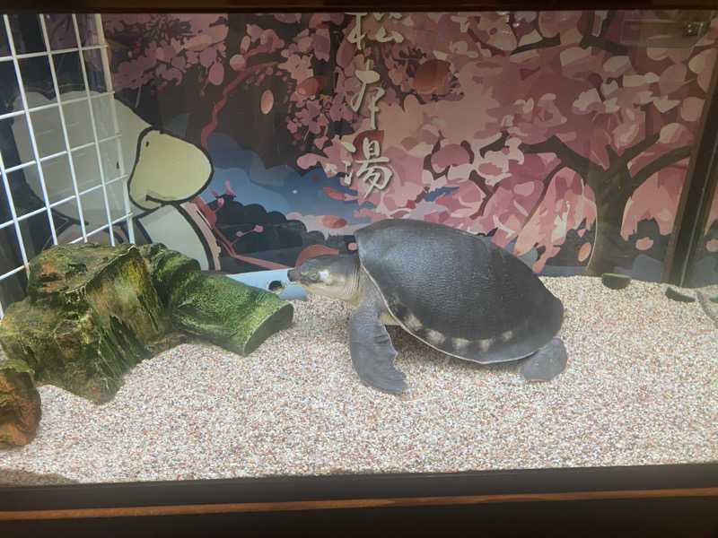 THE サ道さんの松本湯のサ活写真