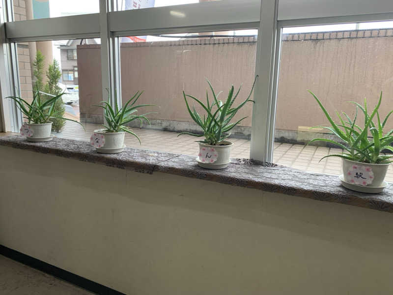 FatPenguinesさんの駅の温泉 リバーサイド津南のサ活写真