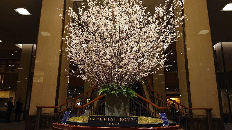 himakoさんの帝国ホテル東京のサ活写真