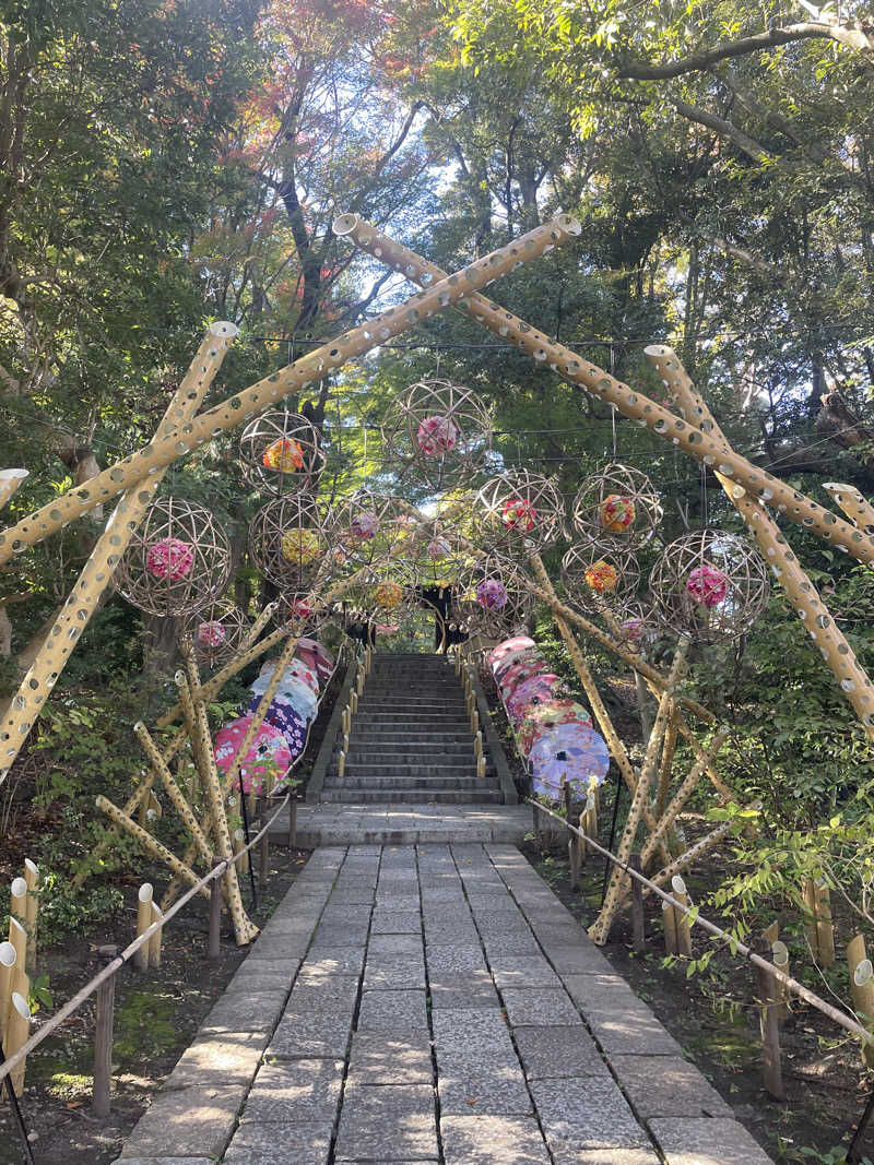 みずいんこさんのよみうりランド眺望温泉 花景の湯のサ活写真