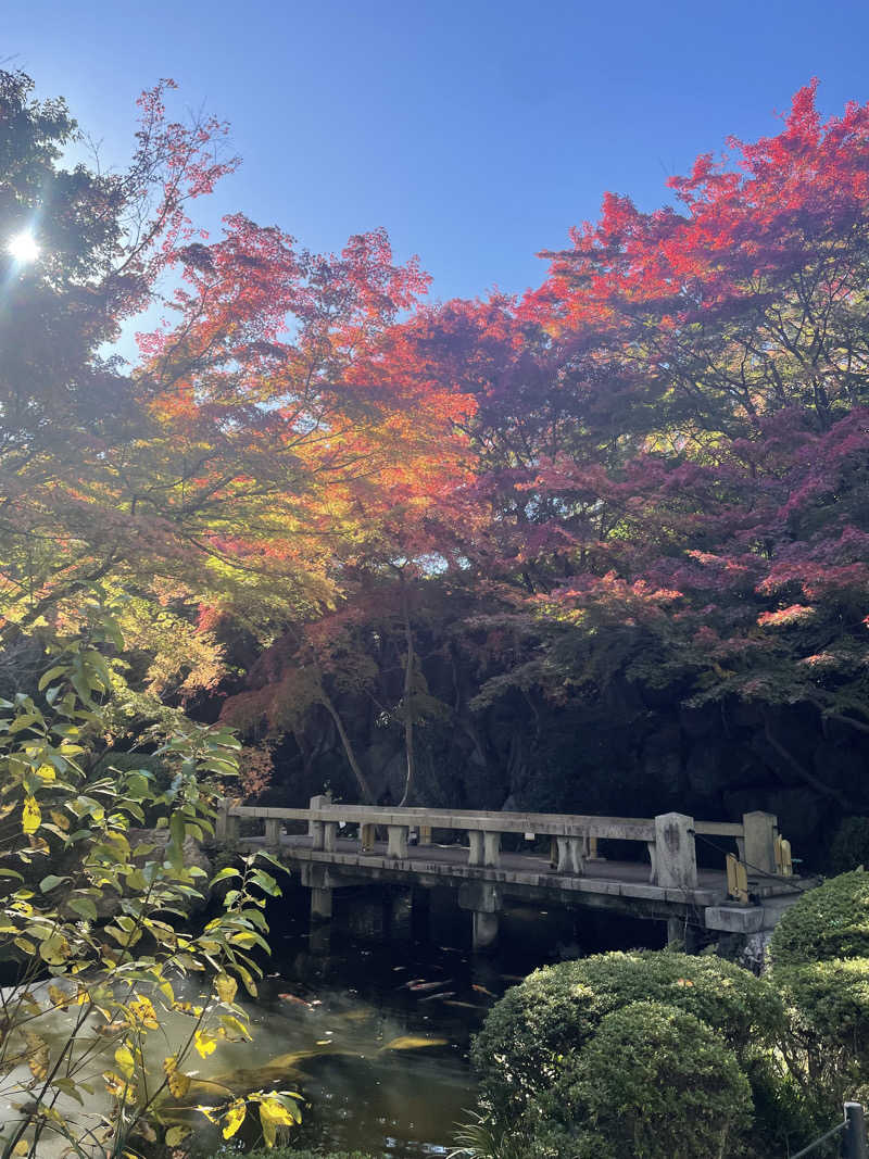 みずいんこさんのよみうりランド眺望温泉 花景の湯のサ活写真