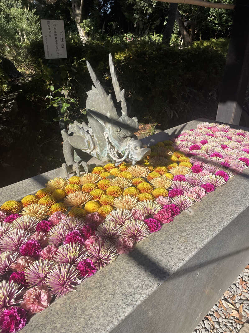 みずいんこさんのよみうりランド眺望温泉 花景の湯のサ活写真