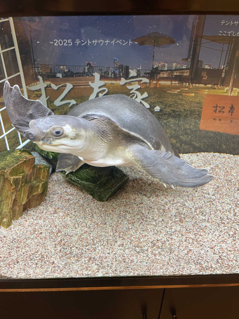 みずいんこさんの松本湯のサ活写真