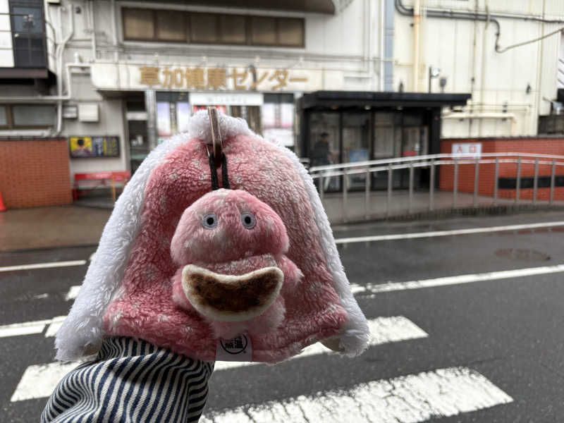 YUYAさんの湯乃泉 草加健康センターのサ活写真