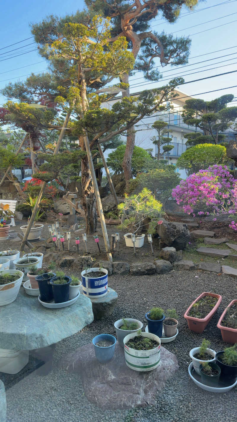 CANTALOWさんの月見湯のサ活写真