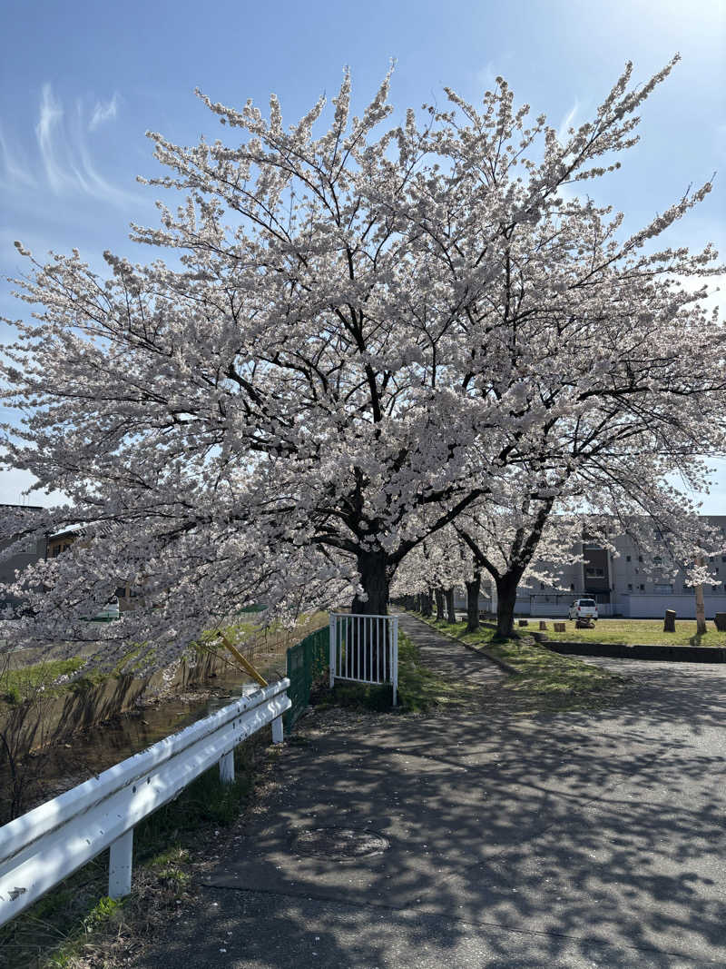 tsunetty0138さんの沼館温泉会館のサ活写真