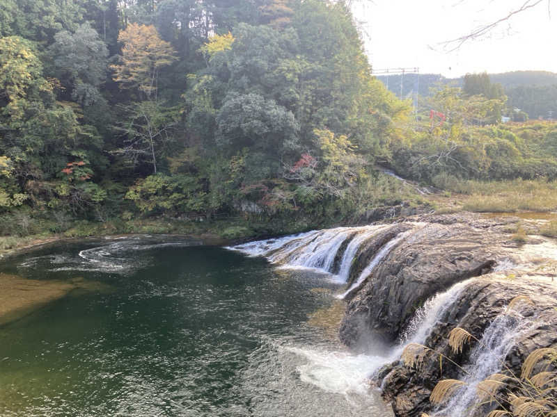 ささこさんのとうえい温泉 花まつりの湯のサ活写真