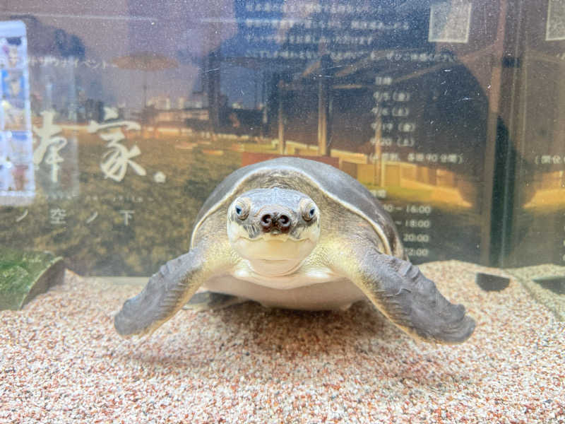 納豆さんの松本湯のサ活写真