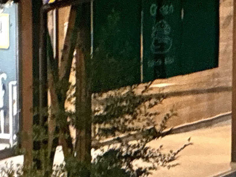 ヌマッチさんのSauna & Spa Green サウナ&スパ グリーン～愛宕山温泉～のサ活写真