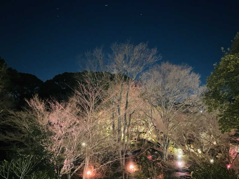 おさやさんの豊島園 庭の湯のサ活写真