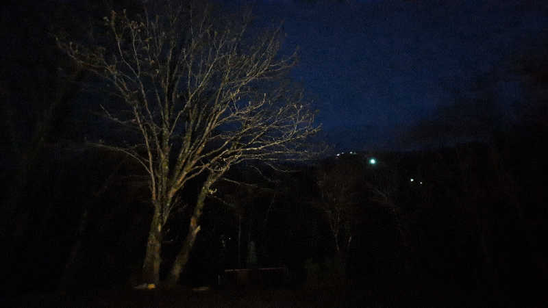 蒸しJさんのtheKinta "SAVU"のサ活写真