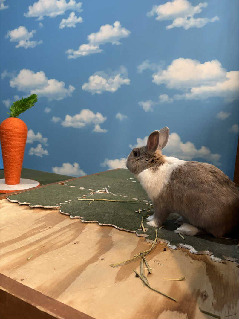 plantsさんのアクアリゾート 岐阜ふじの湯のサ活写真