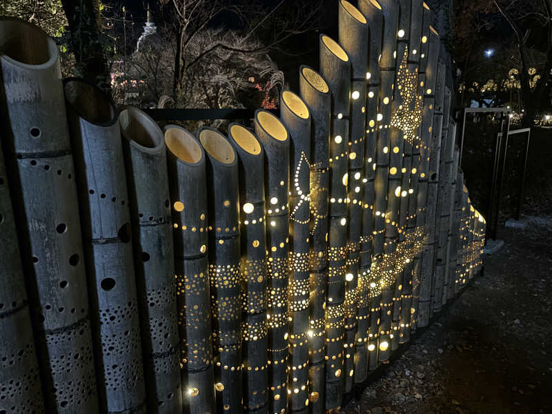 Rさんのよみうりランド眺望温泉 花景の湯のサ活写真