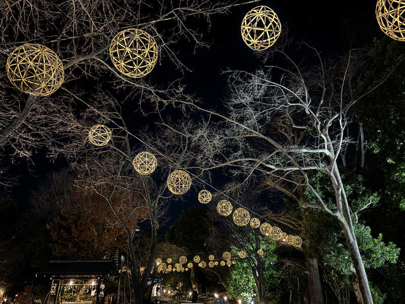 Rさんのよみうりランド眺望温泉 花景の湯のサ活写真