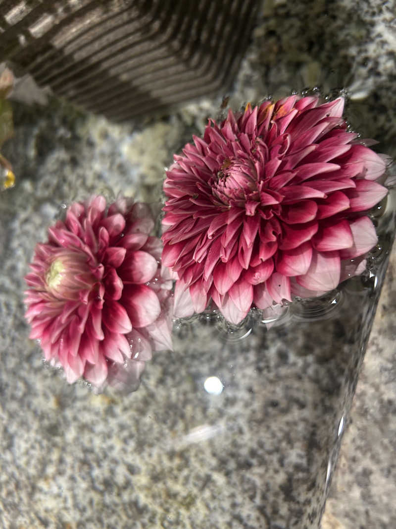 yamakyoさんの天光の湯のサ活写真