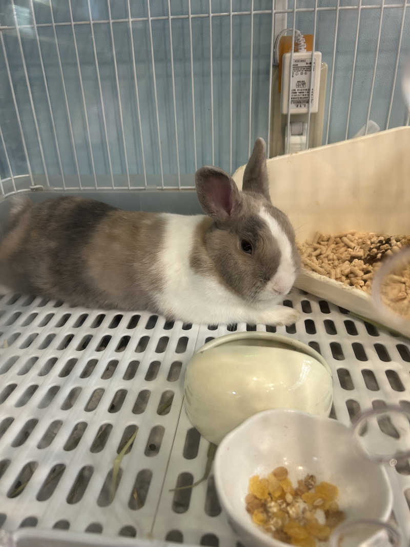 yamakyoさんのアクアリゾート 岐阜ふじの湯のサ活写真