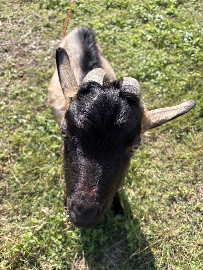 sauna_hoppyさんの天神岬温泉しおかぜ荘のサ活写真