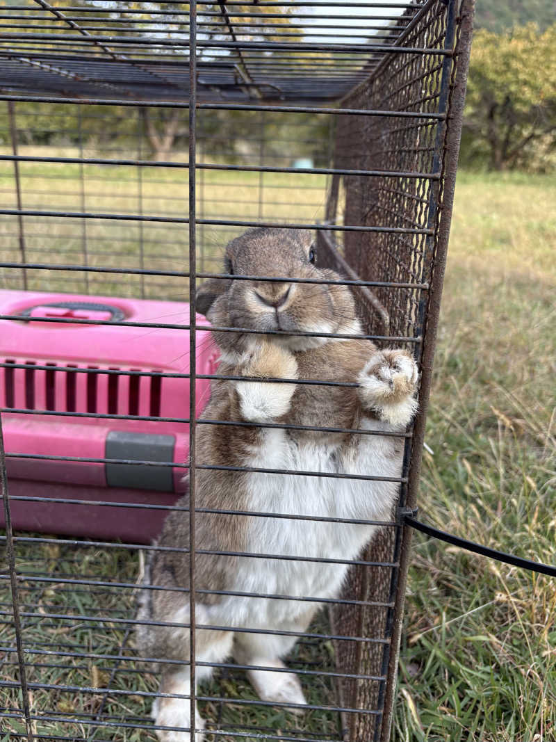 sauna_hoppyさんの天神岬温泉しおかぜ荘のサ活写真