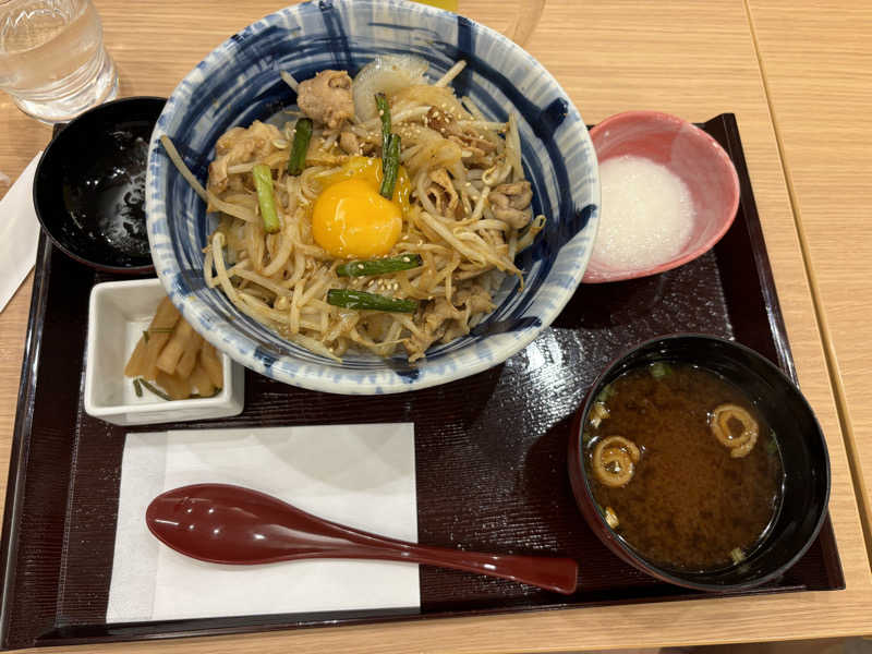 たけさんの豊田挙母温泉 おいでんの湯のサ活写真