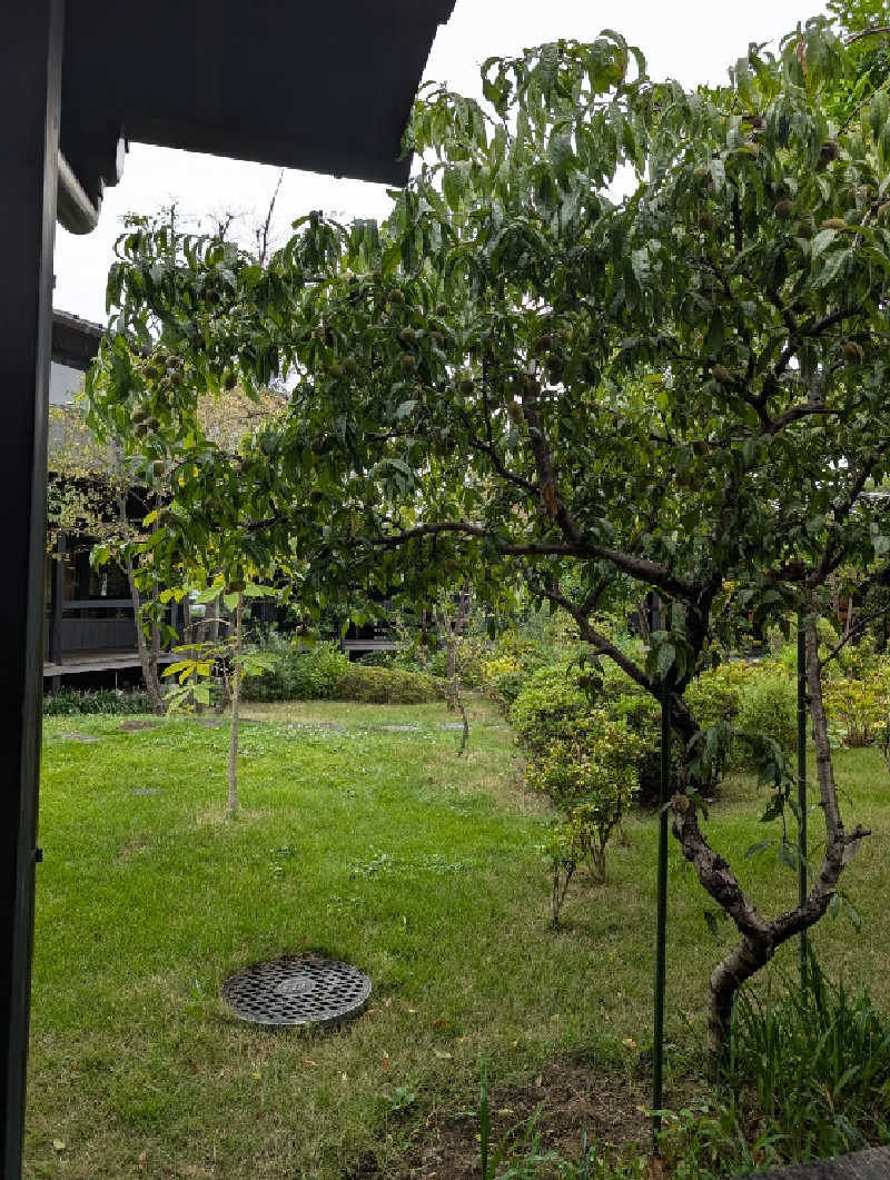 Booouさんの杉戸天然温泉 雅楽の湯のサ活写真