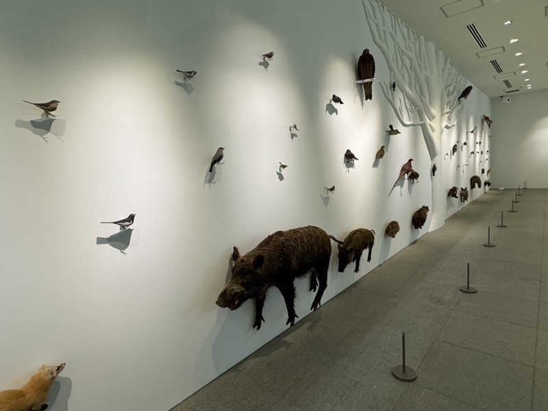 rさんの白水湯のサ活写真