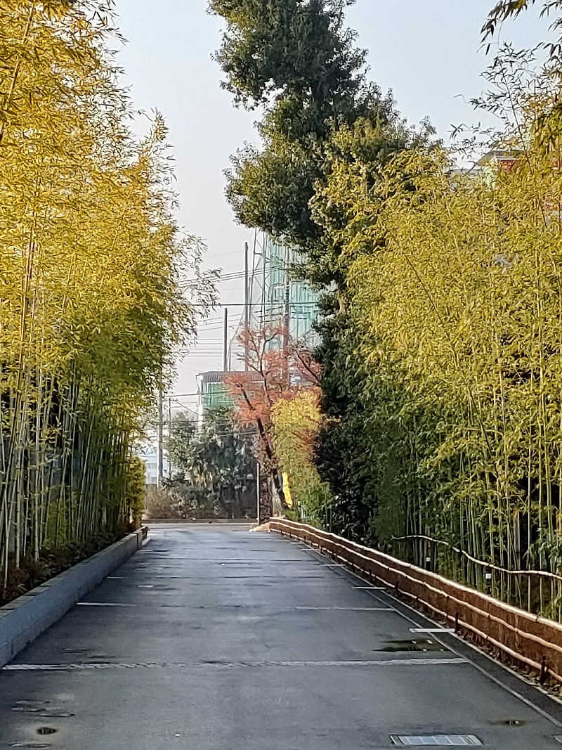 イサミさんの温泉バルコニー キング&クイーンのサ活写真