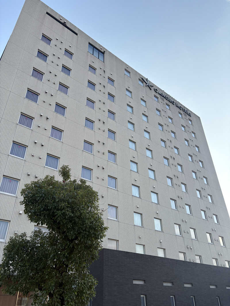 キリゴンザレスさんのカンデオホテルズ 大津熊本空港のサ活写真