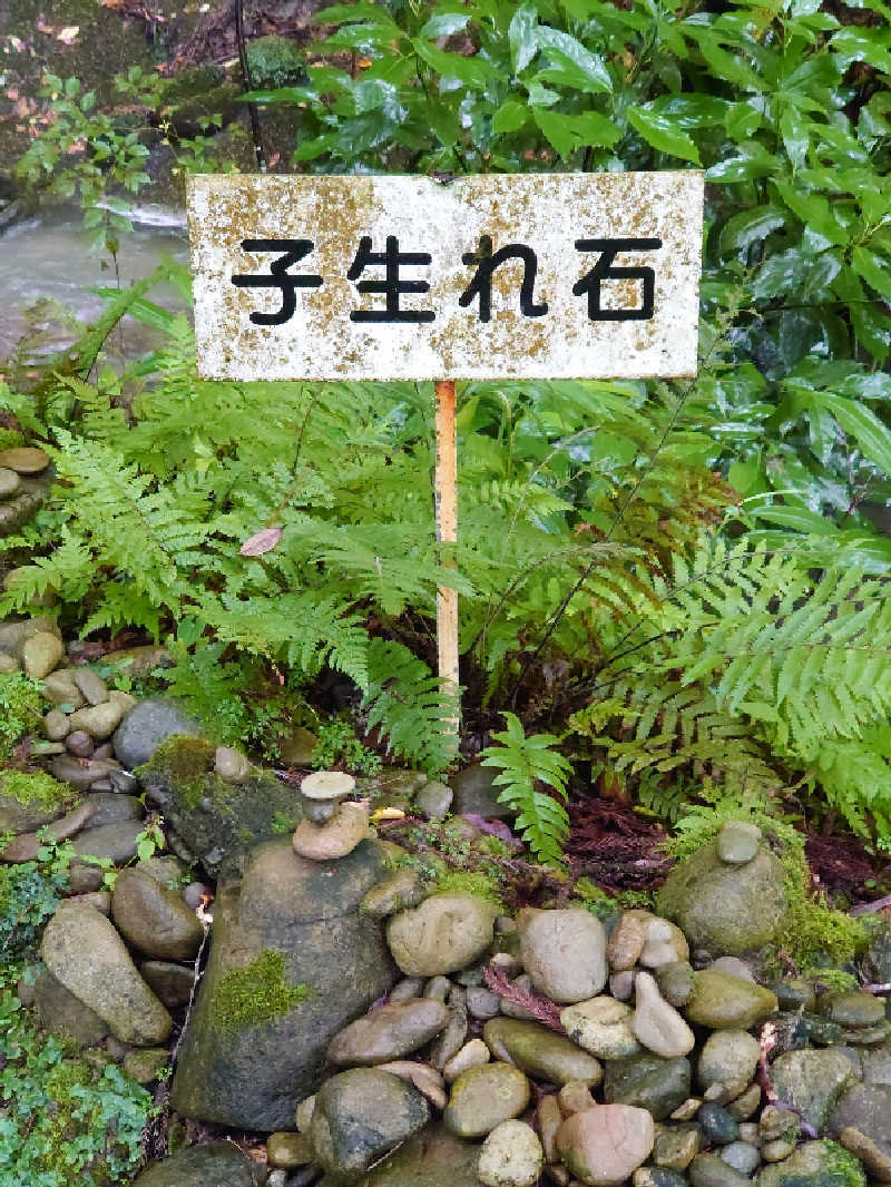 ヒロメネスさんのさがら子生れ温泉会館のサ活写真