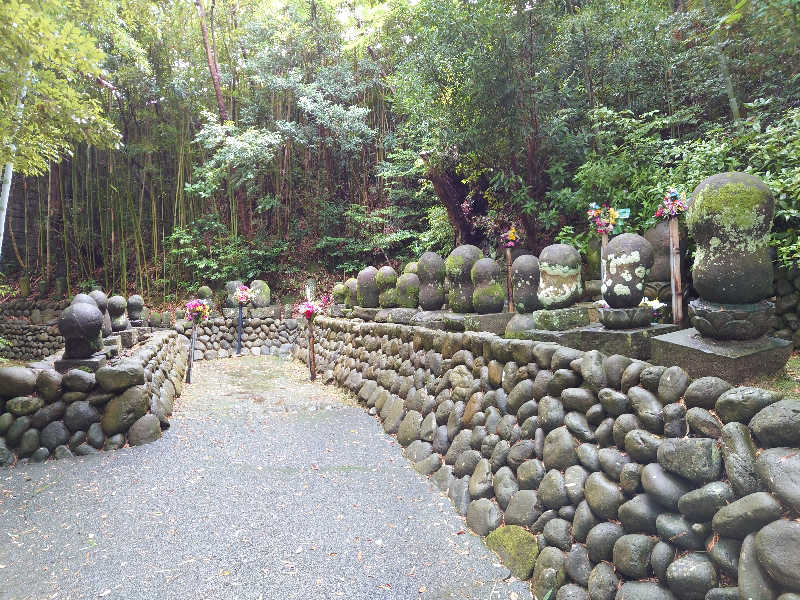 ヒロメネスさんのさがら子生れ温泉会館のサ活写真