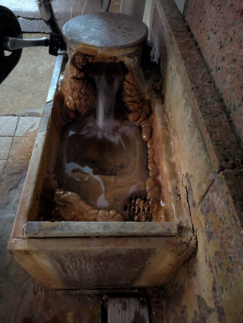 ヒロメネスさんのクア武庫川のサ活写真