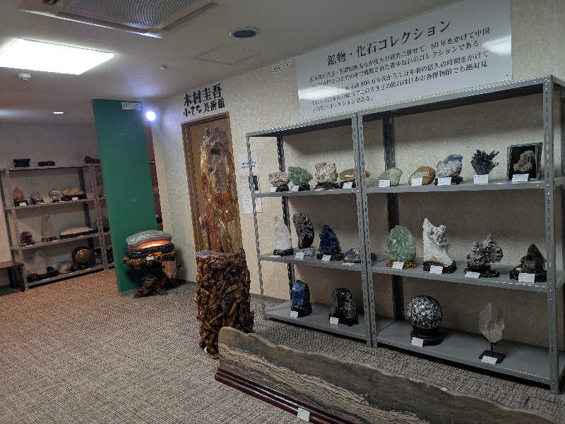 ヒロメネスさんのホテルサンバレー 富士見のサ活写真