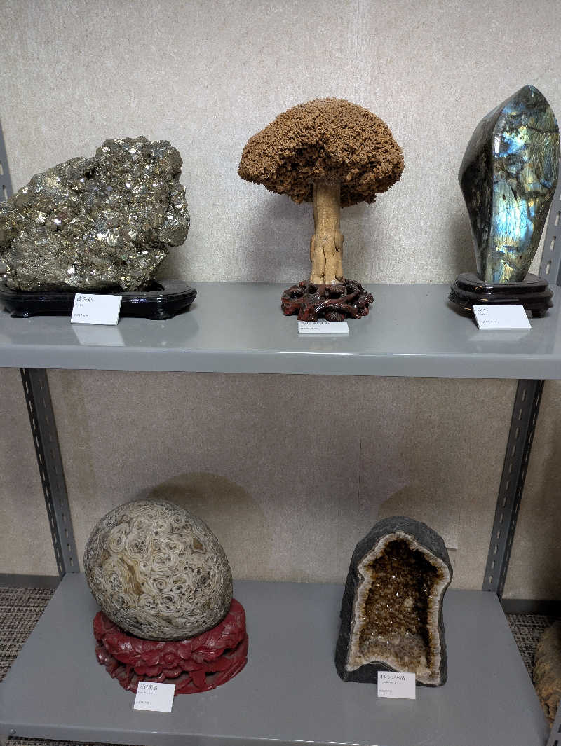 ヒロメネスさんのホテルサンバレー 富士見のサ活写真