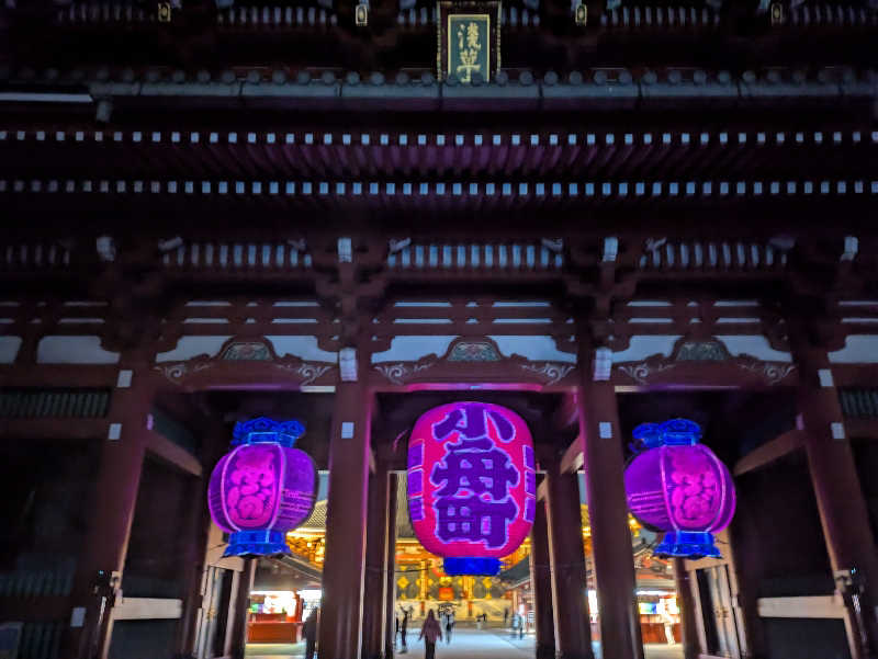 ヒロメネスさんの天然温泉 凌天の湯 御宿 野乃浅草別邸のサ活写真