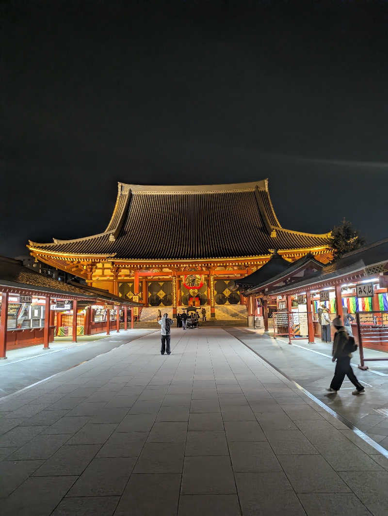 ヒロメネスさんの天然温泉 凌天の湯 御宿 野乃浅草別邸のサ活写真