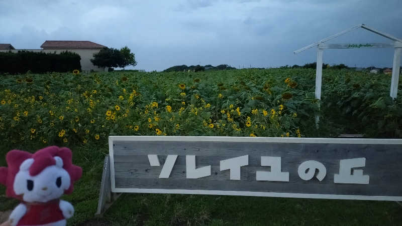 横須賀人さんの海と夕日の湯のサ活写真