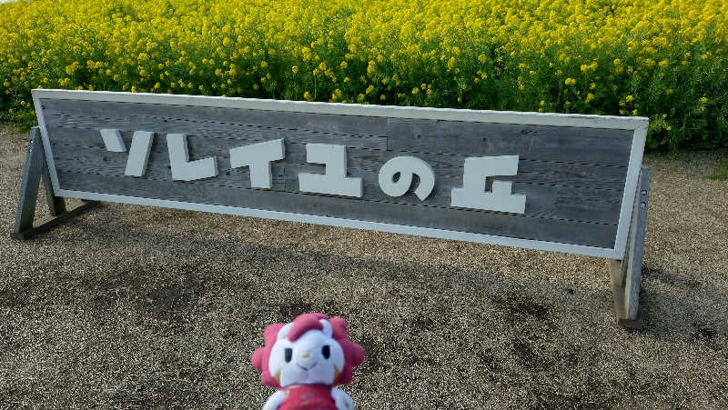横須賀人さんの海と夕日の湯のサ活写真