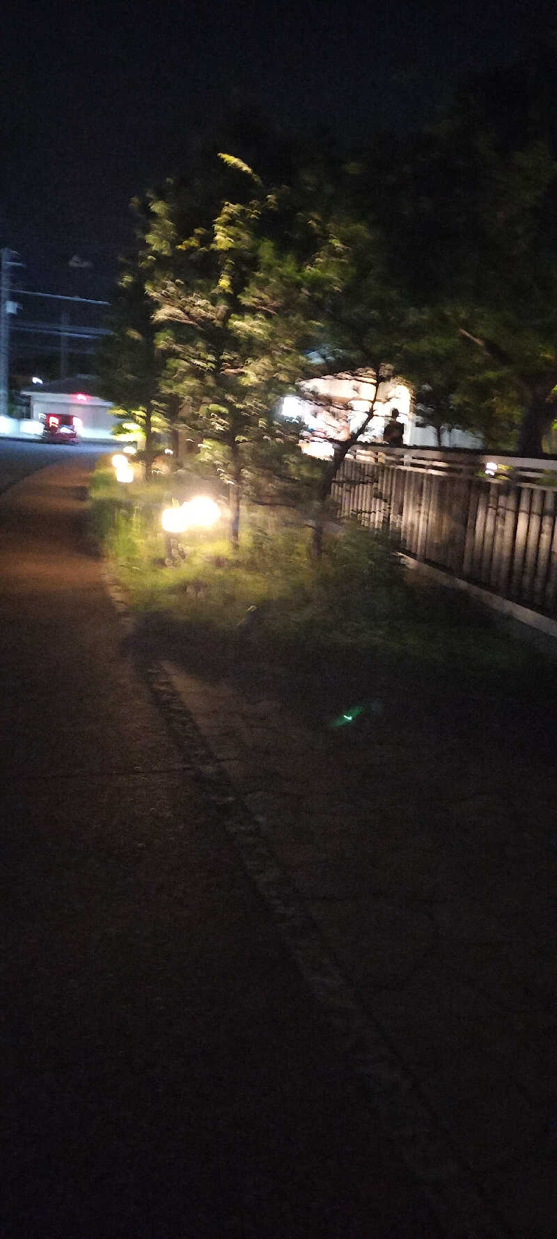 ＪＹはすう🐤さんの野天風呂 湯の郷のサ活写真