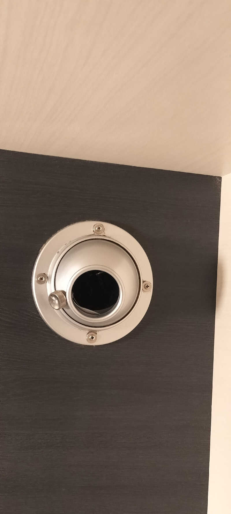 ＪＹはすう🐤さんのサウナセンター鶯谷本店のサ活写真