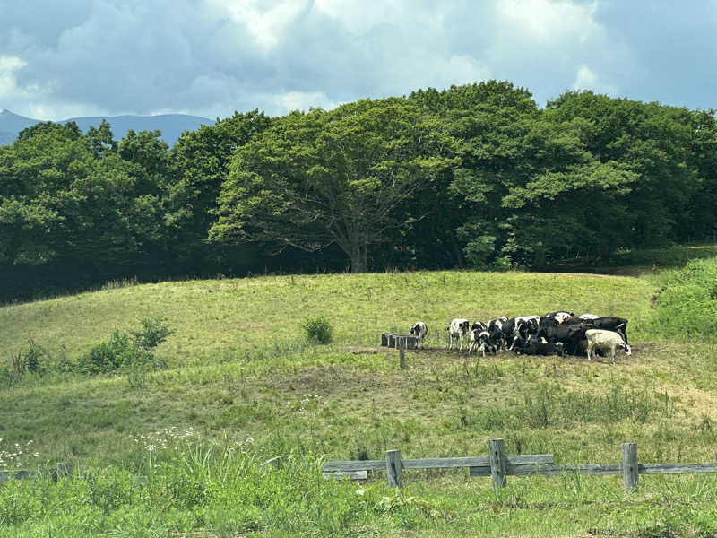Teruさんの網張温泉 ありね山荘のサ活写真