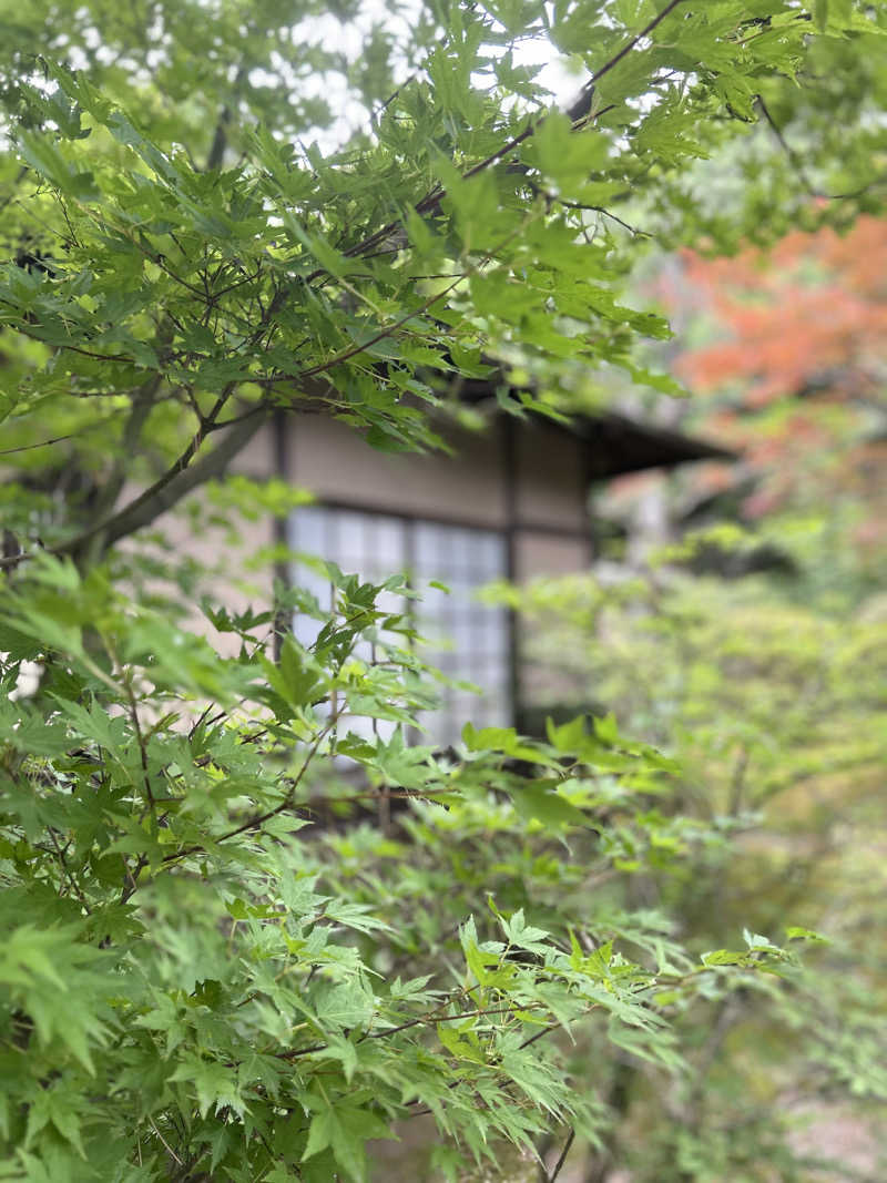 KYOTO SAUNA VIBES®️さんの上方温泉一休京都本館のサ活写真