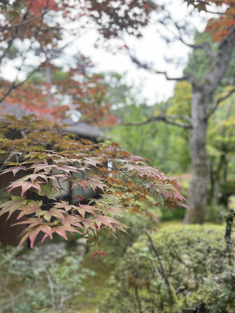 KYOTO SAUNA VIBES®️さんの上方温泉一休京都本館のサ活写真